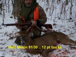 deer-kill-sm-av2.jpg