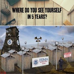 fema.jpg