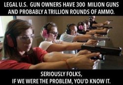 legal-u-s-gun-owner-300-million-guns-probably-trillion-rounds-ammo-seriously-folks-problem-you...jpg