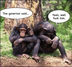 monkeys gov.jpg