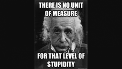 Einstein level of stupid.png