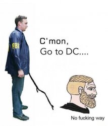 go to dc.jpg