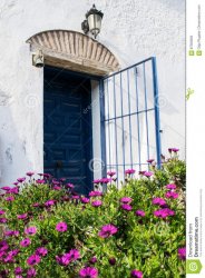 spanish-blue-old-entrance-door-open-gate-white-house-purple-chrysantemum-flowers-front-87303603.jpg