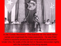 che-guevara-glamourising-a-mass-murderer-6-728.jpg