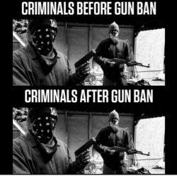 criminals-before-gun-ban-criminals-after-gun-ban-guns-will-31443329.png