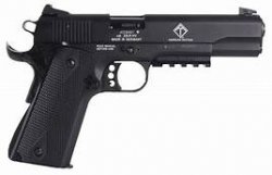 GSG 22lr 1911.jpg