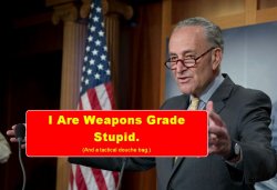 Schumer-3-14--1250x650.jpg