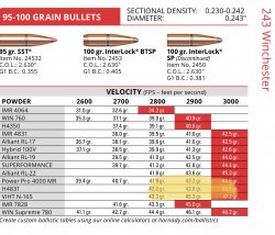 Savage Axis 2 243 Winchester 95 gr SST hunting loads. | NY Gun Forum