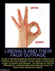 liberals-and-their-faux-outrage-was-standard-gesture-used-bo-politics-1493584458.jpg