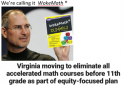 woke-Math-Virginia-300x227.png