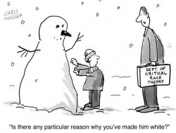 a886-critical-race-theory-cartoon-white-snowman.jpg