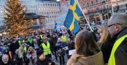 sweden-yellow-vest-protest.jpg