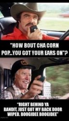 poof corn pop ears.jpg