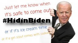 Biden_In_Hidin_03.jpg