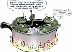 boiled_frogs_col.jpg
