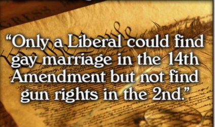 Liberal_Hypocrisy_Constitution.jpg