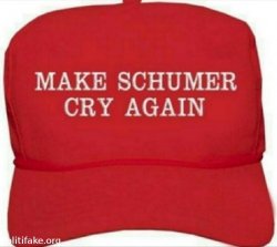 make-crybaby-schumer-cry-again-politics-1494421905.jpg