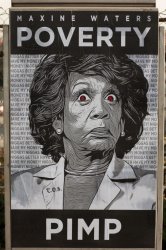 maxine-waters-poverty-pimp-posters-in-inglewood-665x1024-768x1152.jpg