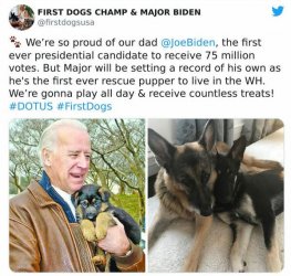 biden-dog-10.jpg