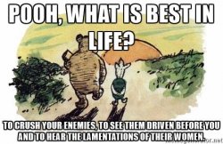 pooh-the-wise-pooh-what-is-best-in-life.jpg