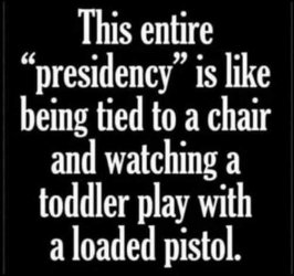 biden-presidency-tied-to-chair-watching-toddler-play-loaded-pistol.jpg