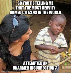 heavily-armed-citizens-in-world-attempted-unarmed-insurrection (1).jpg