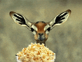 eating-popcorn-icegif-2.gif