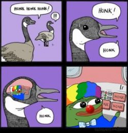 honk.jpg