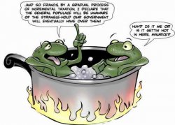 boiling-frogs.jpg
