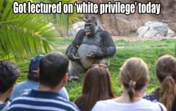 White Privilege Lecture.jpg