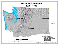 grizzly bear sightings.jpg