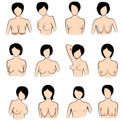 different-boob-shapes-1024x1011.jpg