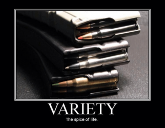 variety-the-spice-of-life-dv-brandi-24218536.png