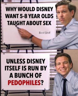 whywoulddisney.jpg