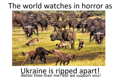 herd watching.png