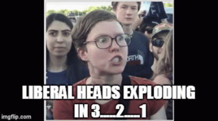 liberal-head.gif