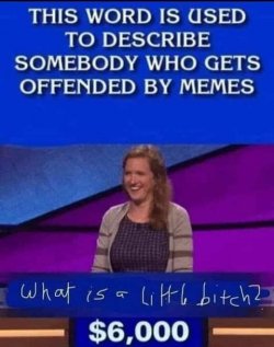 jeopardy-word-someone-offended-memes-little-bitch.jpg