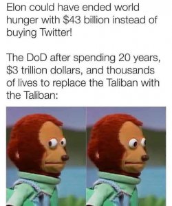 elon-musk-43-billion-twitter-dod-3-trillion-replace-taliban-with-taliban.jpg