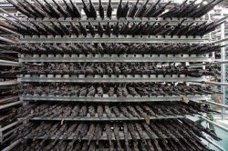 millions-and-millions-of-guns.jpg