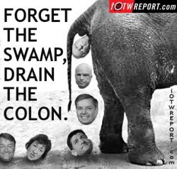 drainthecolon (1).jpg