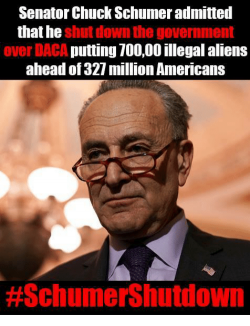 senator-chuck-schumer-admitted-that-he-shut-down-the-government-30478429.png