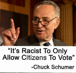 its-racist-to-only-allow-citizens-to-vote-chuck-schumer-32799239.png