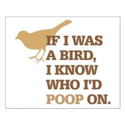 funny_bird_poop_small_poster.jpg