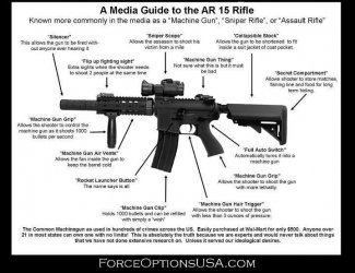 AR 15.jpg