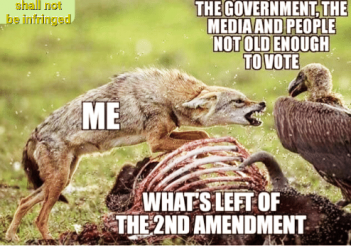 the-government-the-mediaand-people-not-old-enough-ig-9mmsmg-me-32111704.png