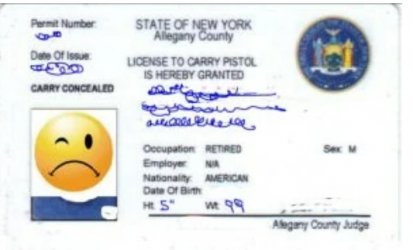 ny gun license.jpg