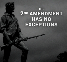 the-2nd-amendment-has-no-exceptions-nullify-amendment-shall-not-27279173.png