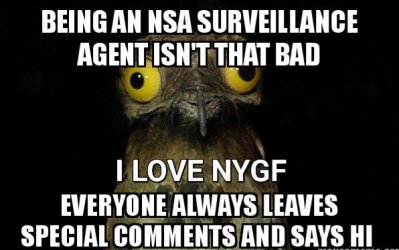 being-an-nsa.jpg