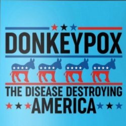 dpt5515305-donkey-pox-the-disease-destroying-america--skyblue-post-front.jpg