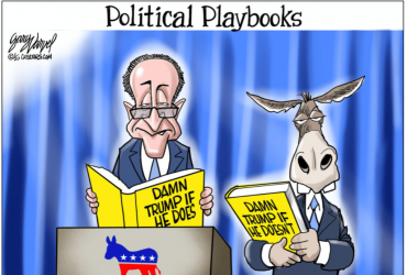 rats-political-playbook.png